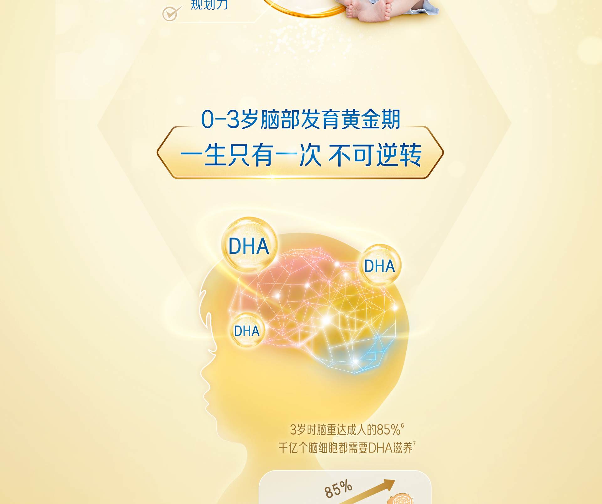 美贊臣安兒寶
