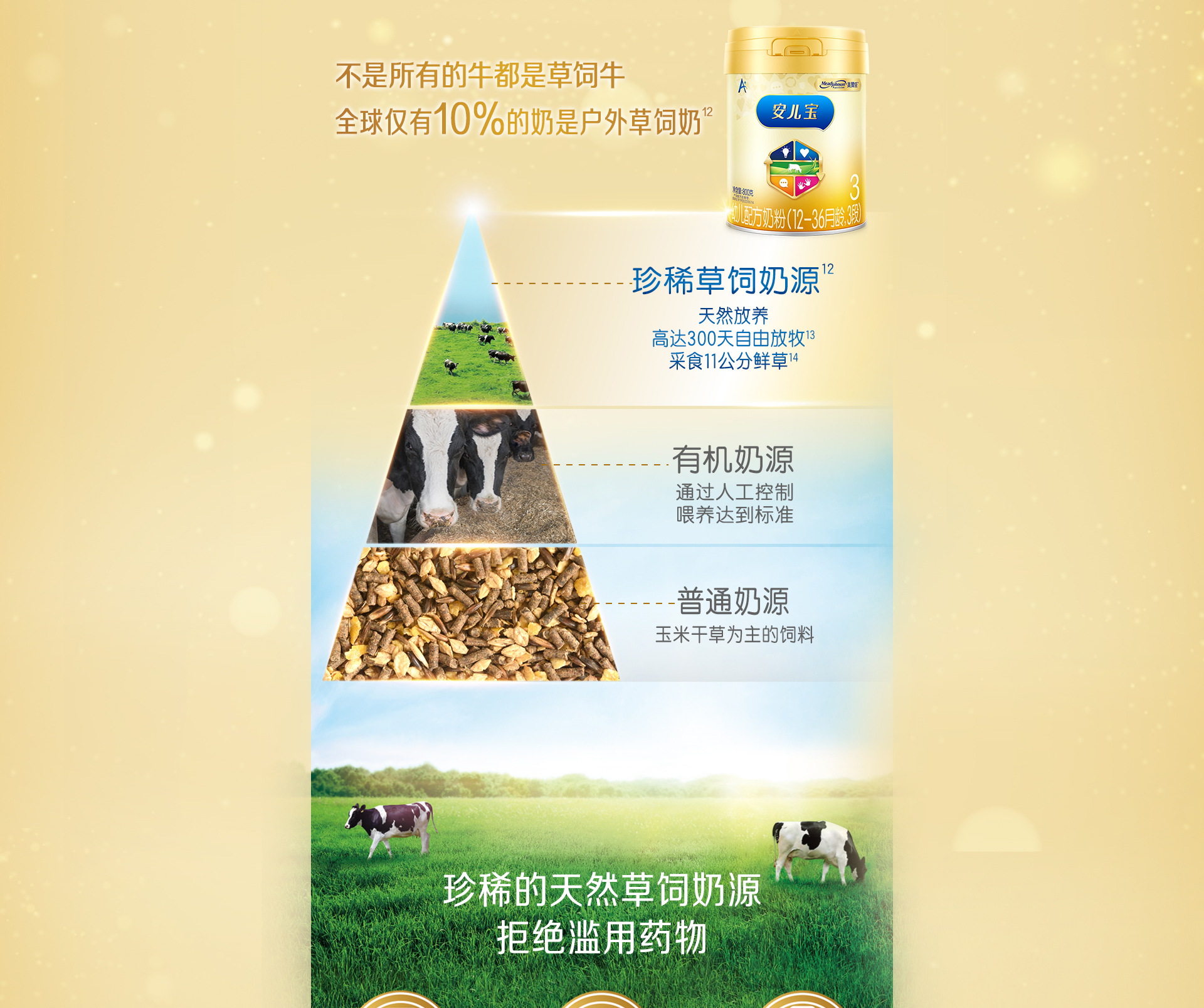 美贊臣安兒寶