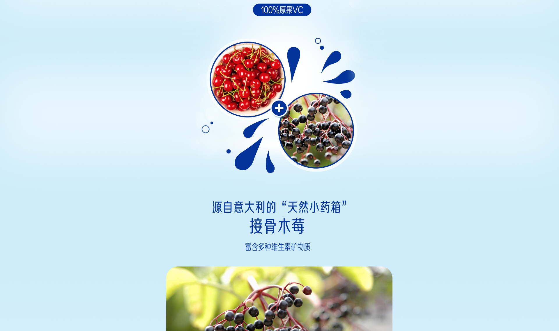 學(xué)優(yōu)力接骨木莓針葉櫻桃飲