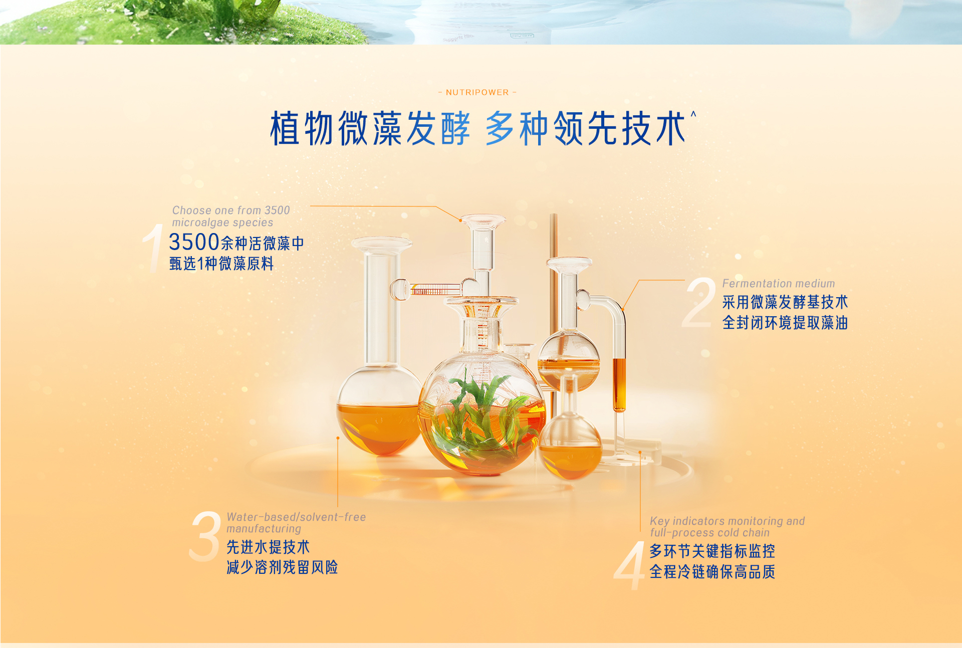 學(xué)優(yōu)力藻油DHA軟膠囊
