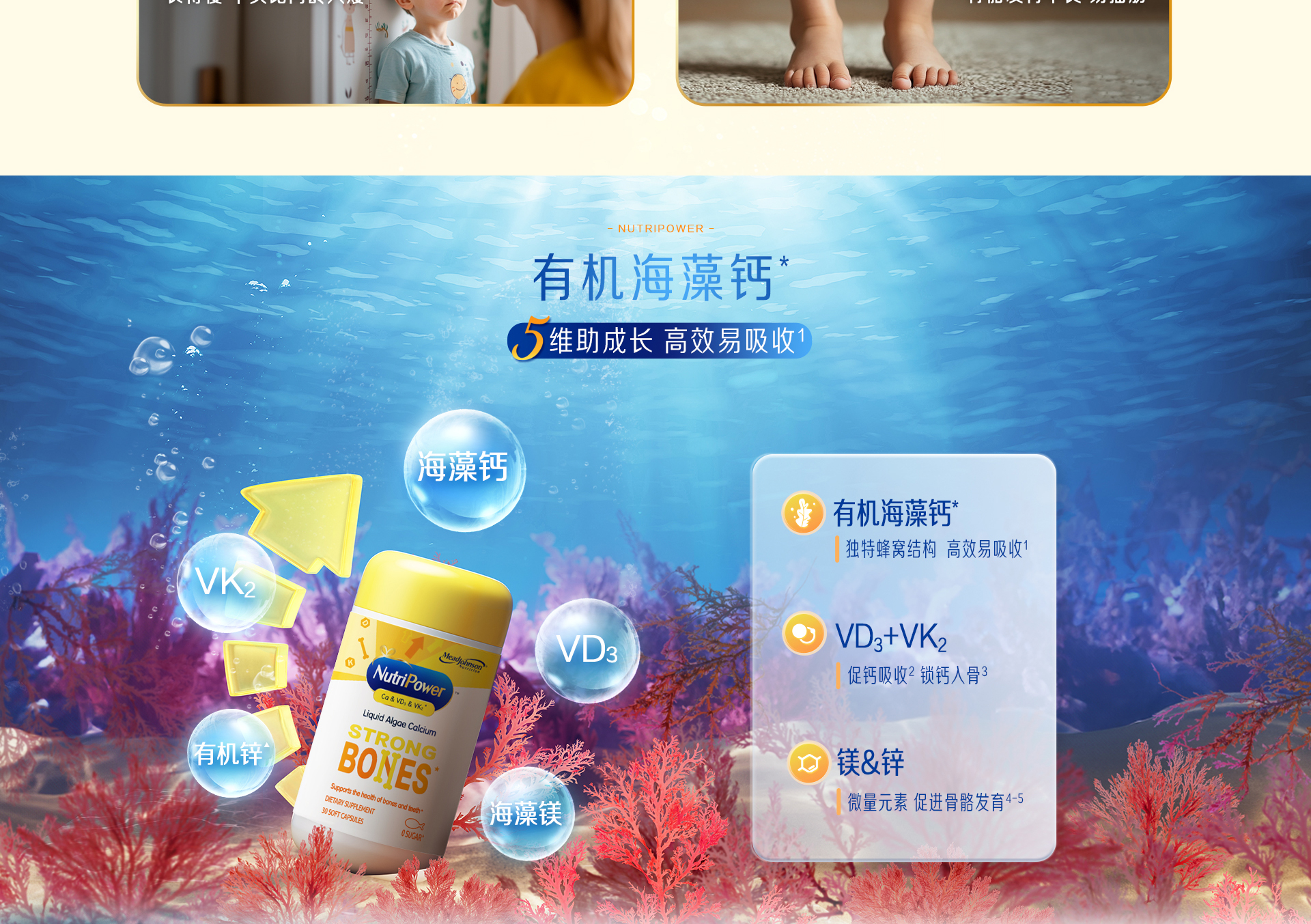 學(xué)優(yōu)力海藻鈣鎂鋅DK軟膠囊