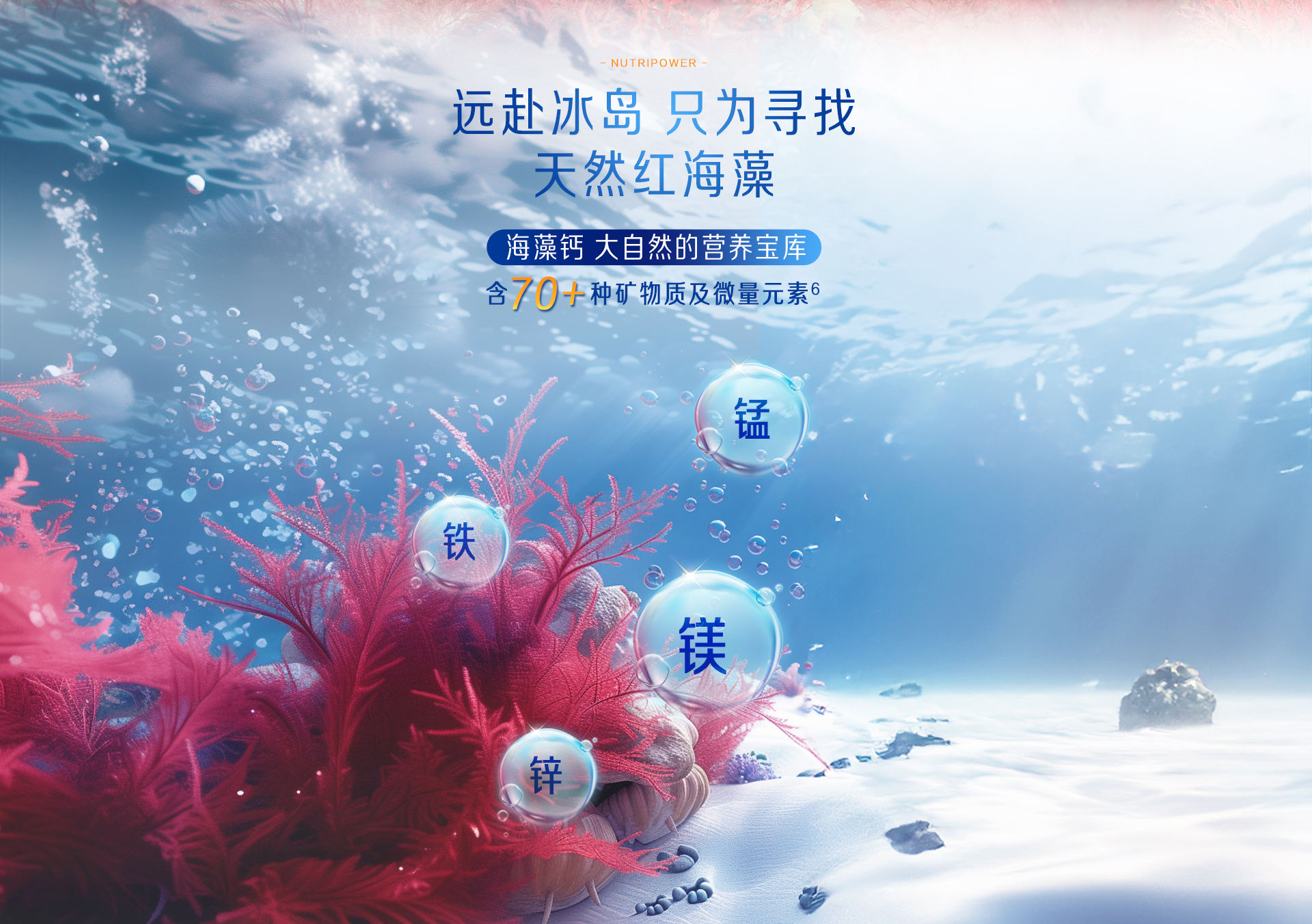 學(xué)優(yōu)力海藻鈣鎂鋅DK軟膠囊