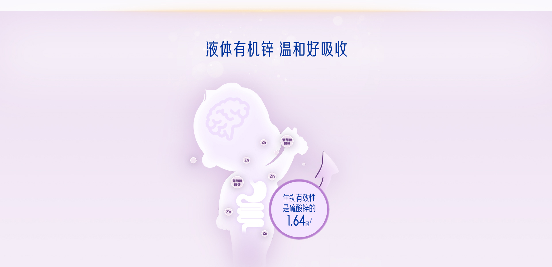 學(xué)優(yōu)力益生元多維鋅